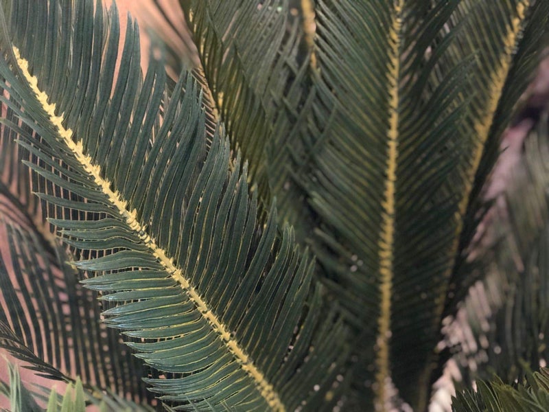 AMERIQUE Gorgeous 3 Feet Cycas Revoluta Sago Palm Tree Artificial Plant with Nursery Pot, Feel Real Technology - Image 3